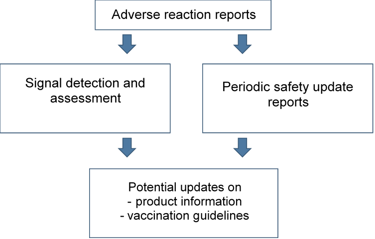 Adverse reaction reports lead to signal detection and assessment and periodic safety update reports. This can lead to updates on product information and vaccination guidelines