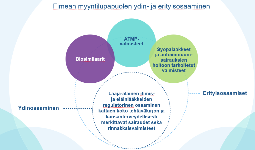 Fimean myyntilupapuolen ydin- ja erityisosaaminen. Ydinosaamiseen kuuluu laaja-alainen ihmis- ja eläinlääkkeiden regulatorinen osaaminen kattaen koko tehtäväkirjon ja kansanterveydellisesti merkittävät sairaudet sekä rinnakkaisvalmisteet. Erityisosaamiseen kuuluu biosimilaarit, ATMP-valmisteet, syöpälääkkeet ja autoimmuunisairauksien hoitoon tarkoitetut valmisteet.