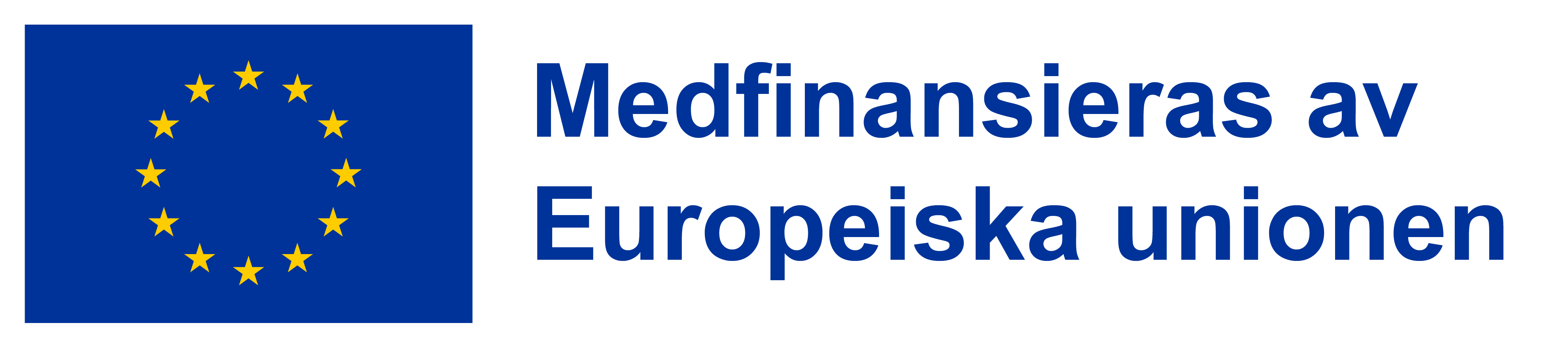 EU-flaggan. Text: Medfinansieras av Europeista unionen.